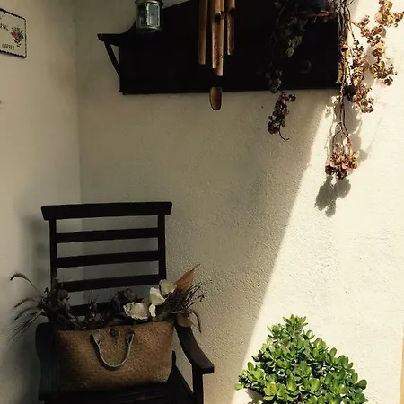 Rosa's Apartment Badalona